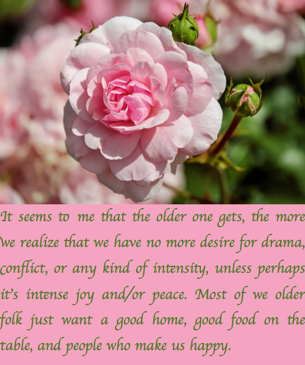 Screen Shot 2017-01-28 at 9.47.20 PM.png