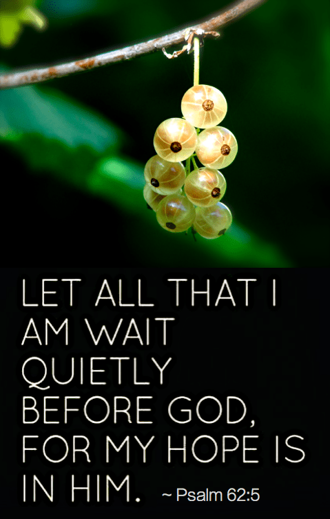 Screen Shot 2017-01-29 at 10.19.11 AM.png