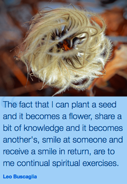 Screen Shot 2017-01-29 at 10.23.26 PM.png