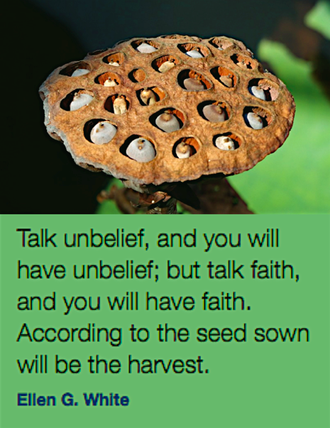 Screen Shot 2017-01-29 at 10.29.51 PM.png