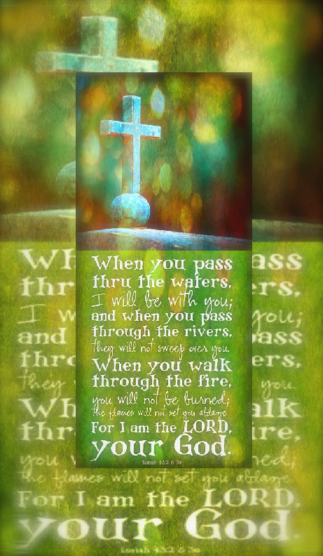 Screen Shot 2017-01-29 at 4.58.06 PM.png