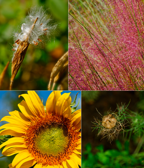 Screen Shot 2017-01-29 at 9.17.34 PM.png