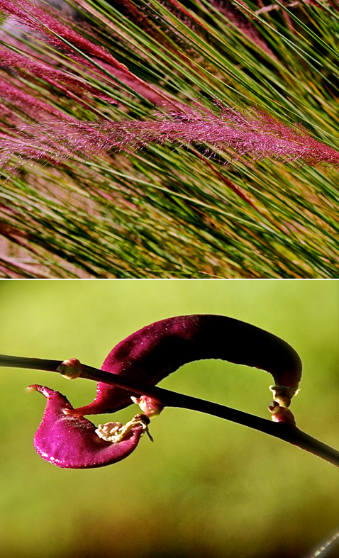 Screen Shot 2017-01-29 at 9.26.49 PM.png