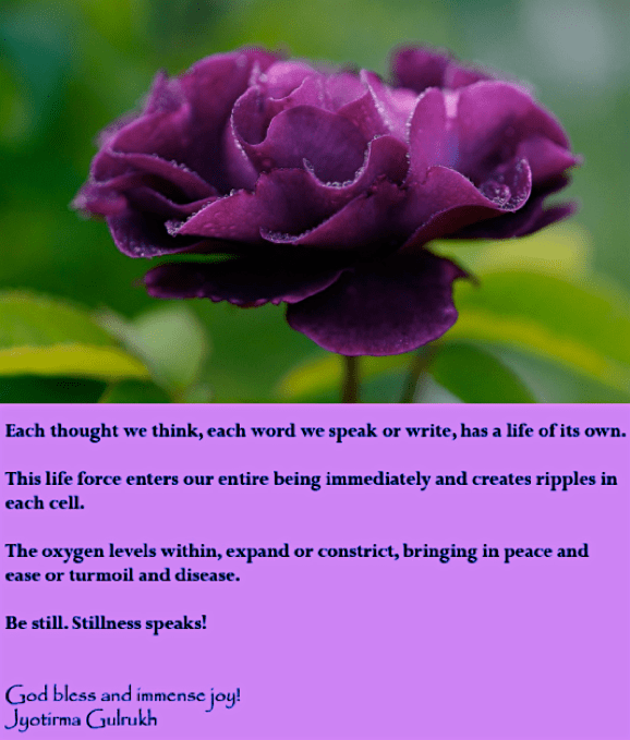 Screen Shot 2017-01-30 at 10.10.23 PM.png