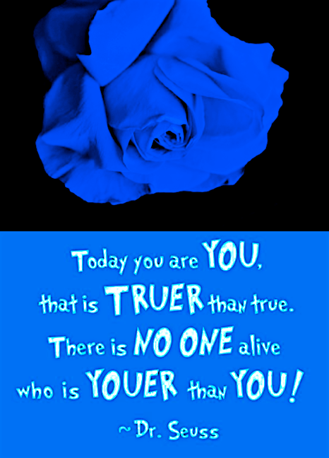 Screen Shot 2017-01-30 at 10.14.11 PM.png