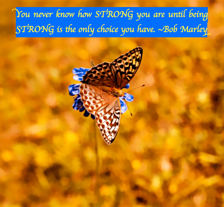 Screen Shot 2017-01-30 at 9.28.55 PM.png