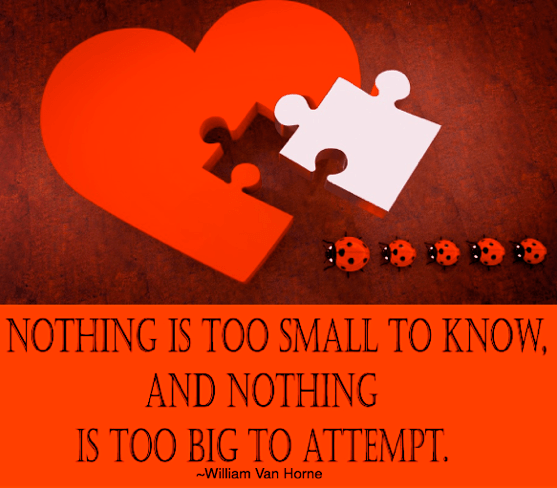 Screen Shot 2017-01-30 at 9.41.42 PM.png