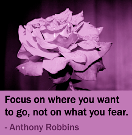 Screen Shot 2017-01-30 at 9.57.17 PM.png