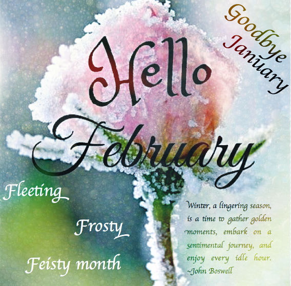 Screen Shot 2017-01-31 at 11.40.50 PM.png