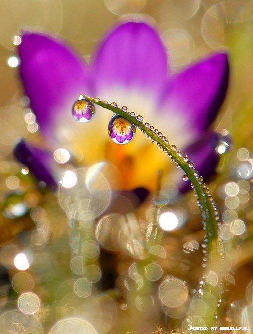 16684043_1922976284655352_3889125611945808795_n