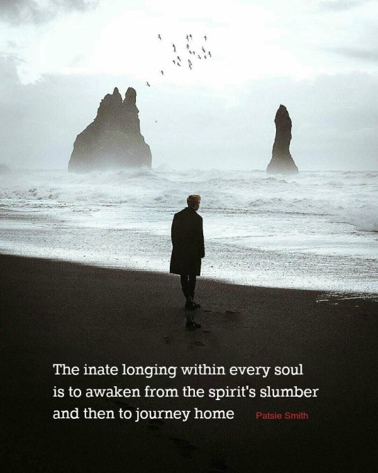 16938474_756424821190436_8116169476149975127_n