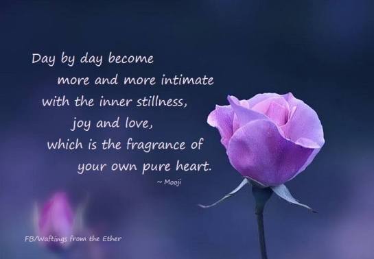 16998011_739571469541526_9057669446444133112_n