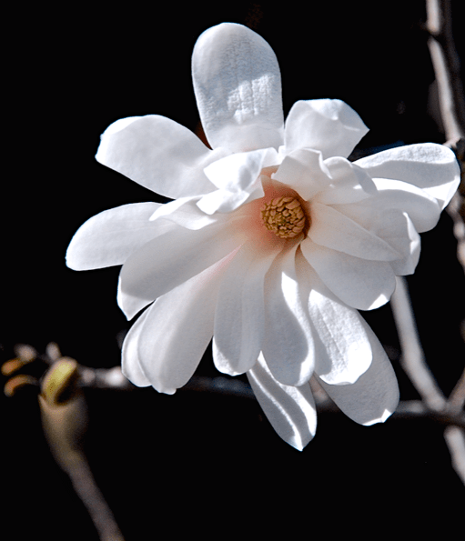 Screen Shot 2017-02-01 at 9.24.38 PM.png