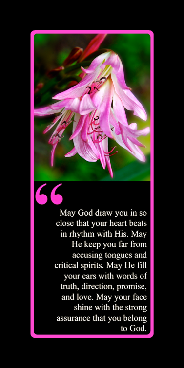 Screen Shot 2017-02-02 at 10.07.59 PM.png