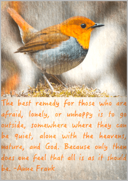 Screen Shot 2017-02-02 at 4.13.43 PM.png