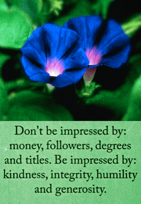 Screen Shot 2017-02-02 at 9.54.15 PM.png