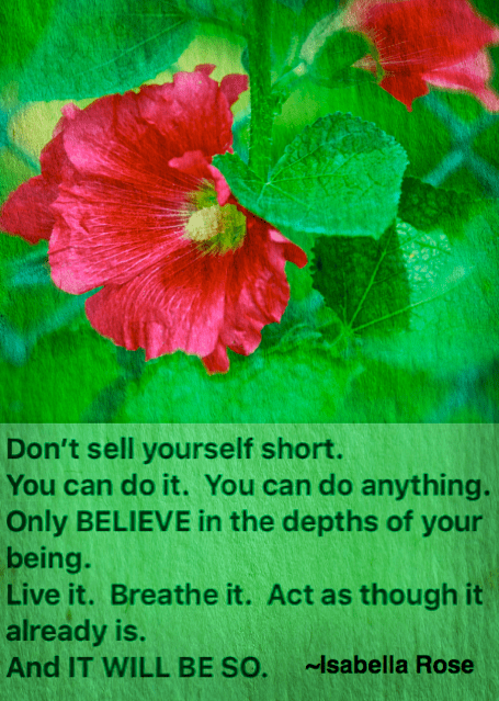 Screen Shot 2017-02-02 at 9.56.53 PM.png