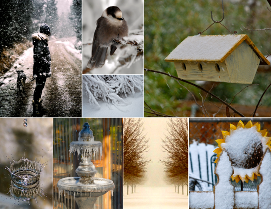 Screen Shot 2017-02-03 at 10.02.37 PM.png