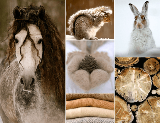 Screen Shot 2017-02-03 at 8.38.04 PM.png