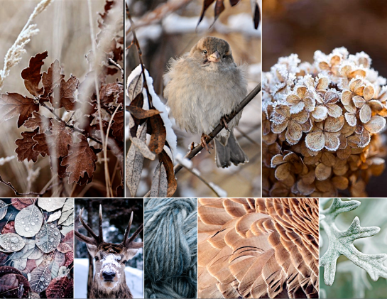 Screen Shot 2017-02-03 at 9.16.06 PM.png