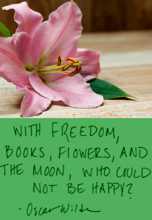 Screen Shot 2017-02-04 at 2.54.36 PM.png