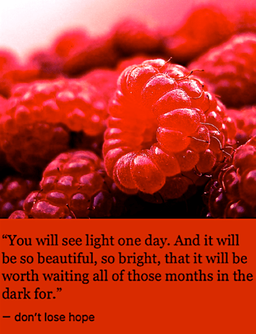 Screen Shot 2017-02-04 at 3.31.52 PM.png