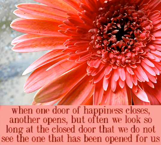 Screen Shot 2017-02-04 at 3.49.31 PM.png