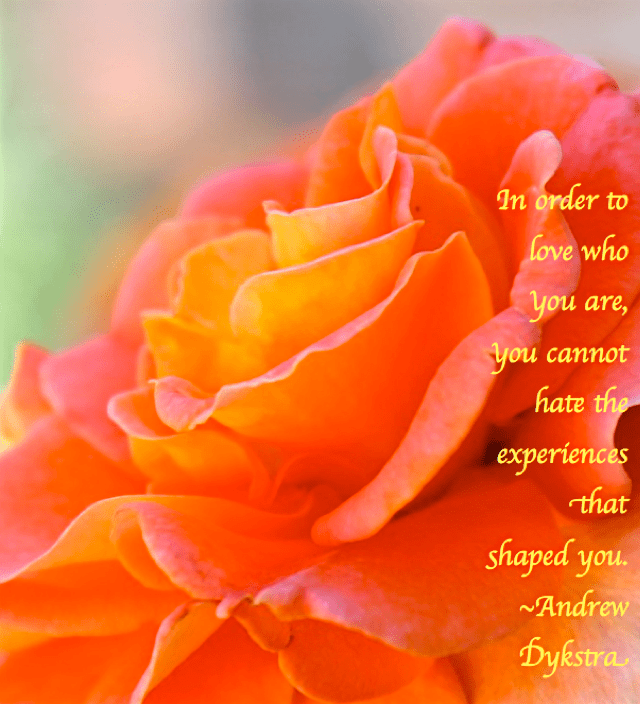 Screen Shot 2017-02-04 at 4.03.18 PM.png