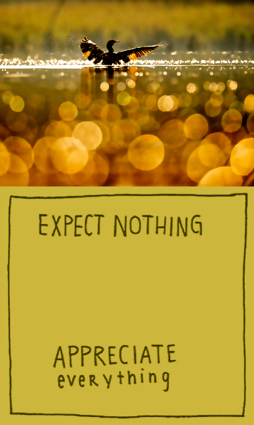 Screen Shot 2017-02-04 at 4.20.16 PM.png