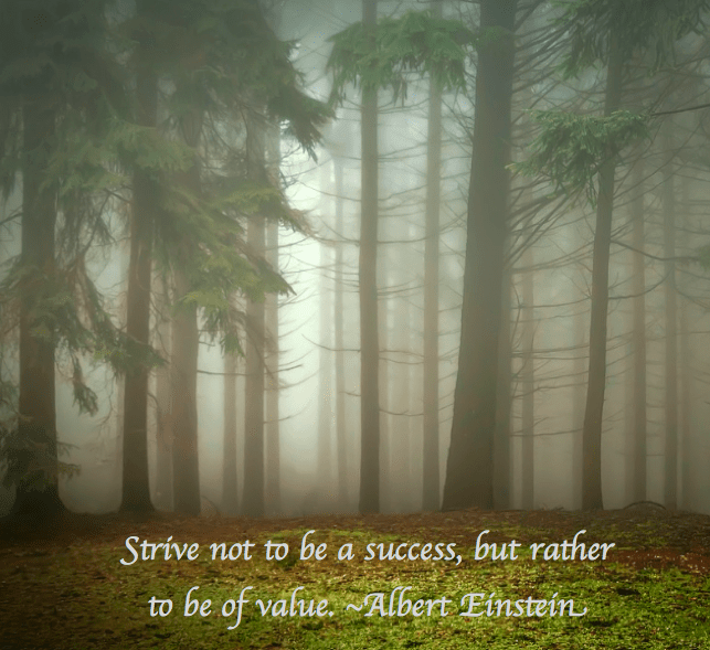 Screen Shot 2017-02-04 at 4.58.46 PM.png