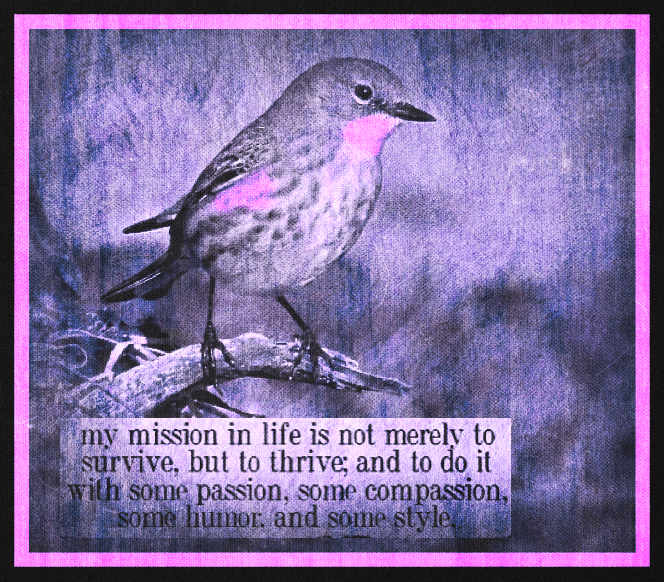 Screen Shot 2017-02-04 at 5.31.27 PM.png