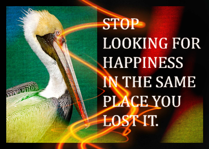 Screen Shot 2017-02-04 at 5.39.14 PM.png