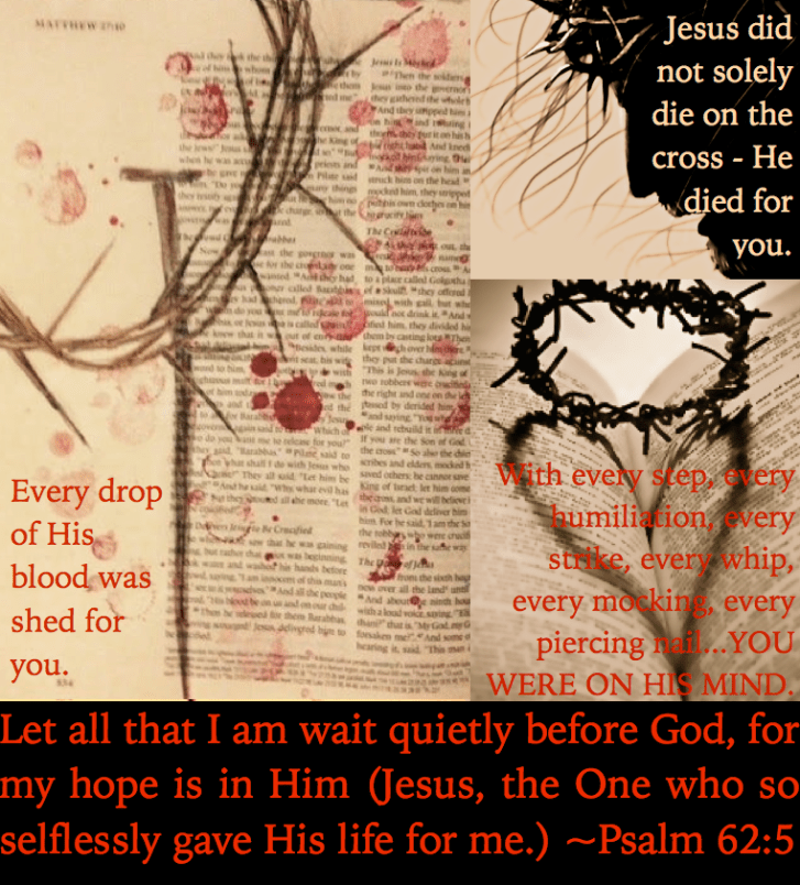 Screen Shot 2017-02-05 at 3.35.35 PM.png