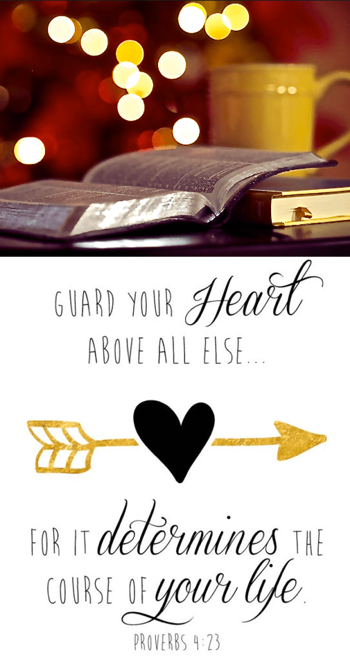 Screen Shot 2017-02-05 at 6.17.23 PM.png