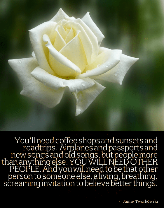 Screen Shot 2017-02-08 at 10.18.46 PM.png