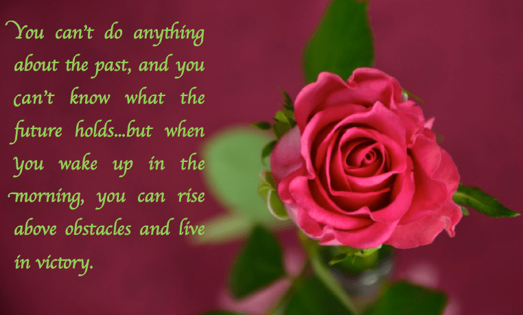 Screen Shot 2017-02-08 at 10.23.50 PM.png