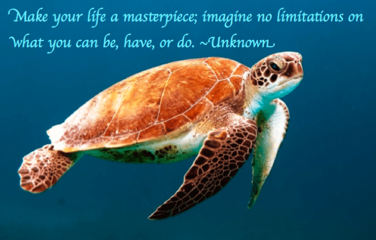 Screen Shot 2017-02-08 at 10.27.40 PM.png