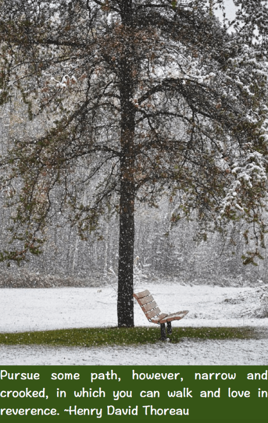 Screen Shot 2017-02-08 at 10.42.21 PM.png