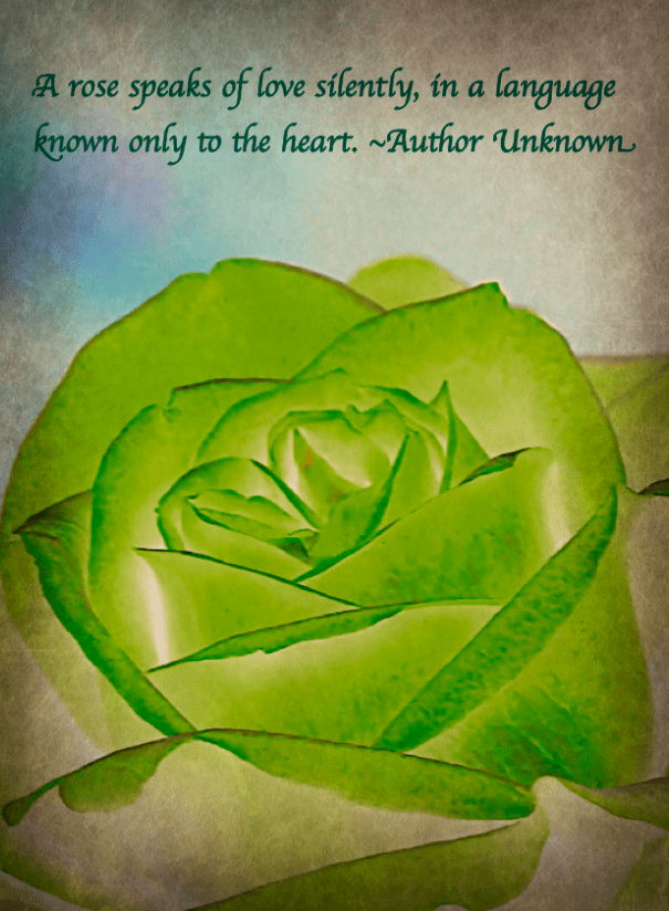 Screen Shot 2017-02-08 at 10.58.53 PM.png