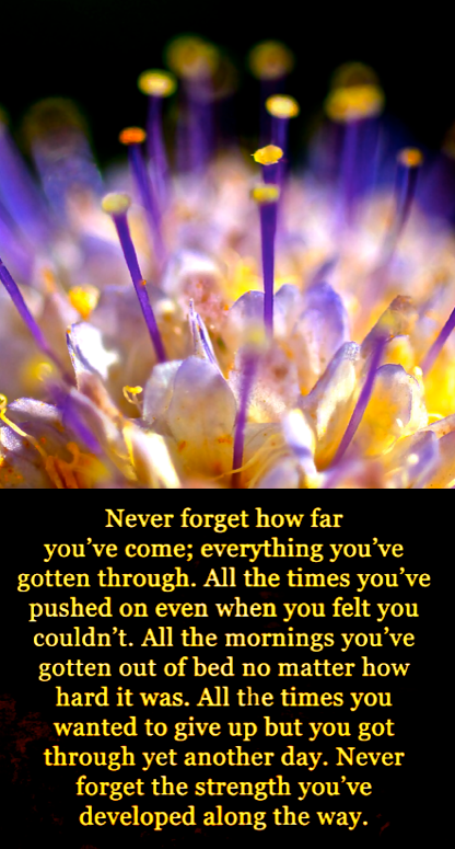 Screen Shot 2017-02-08 at 9.46.07 PM.png