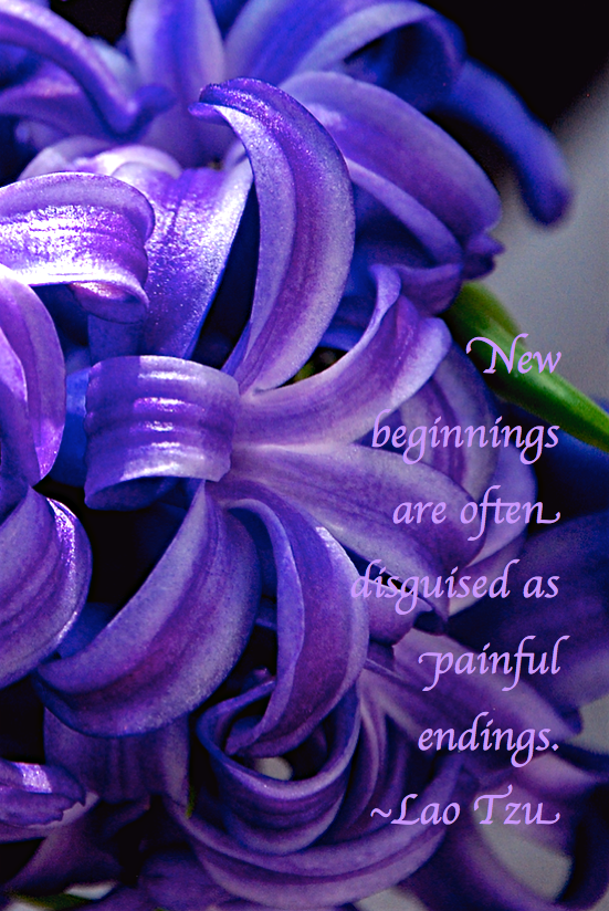 Screen Shot 2017-02-10 at 10.03.13 PM.png