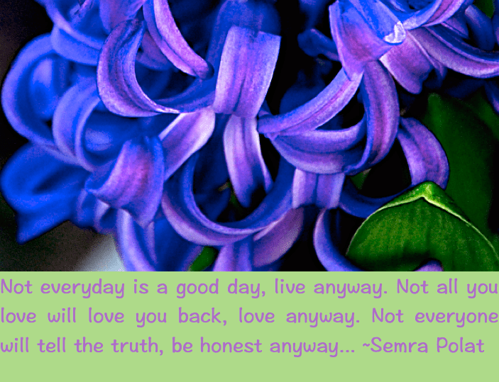 Screen Shot 2017-02-10 at 10.14.18 PM.png