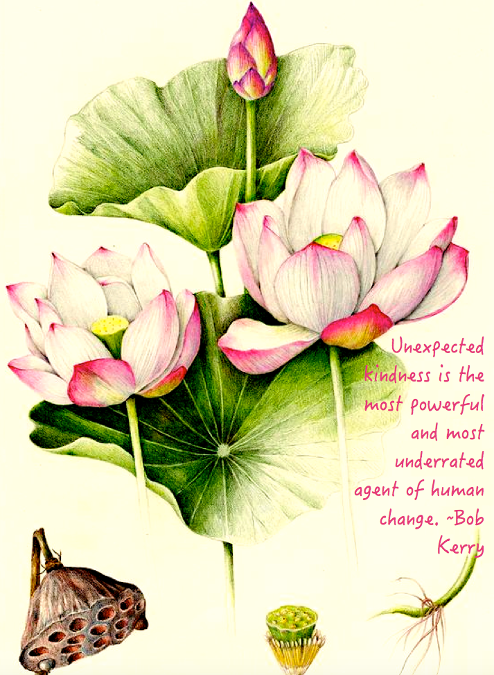 Screen Shot 2017-02-10 at 10.28.27 PM.png