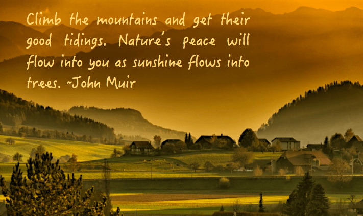 Screen Shot 2017-02-10 at 10.34.56 PM.png