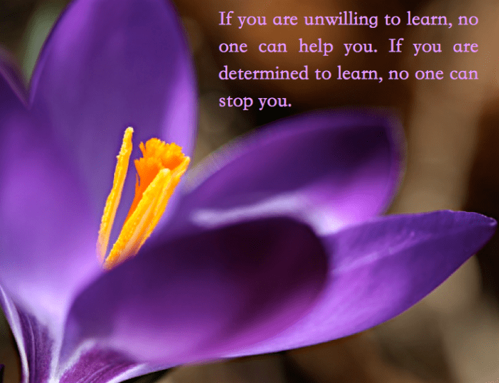 Screen Shot 2017-02-10 at 10.47.12 PM.png