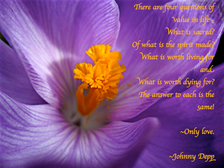 Screen Shot 2017-02-10 at 10.58.10 PM.png