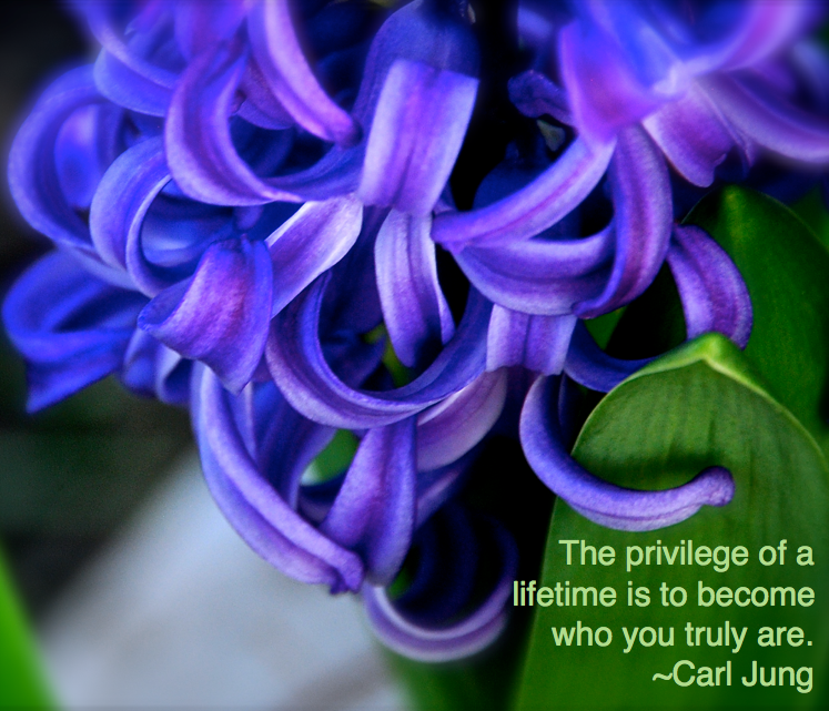 Screen Shot 2017-02-10 at 9.39.34 PM.png