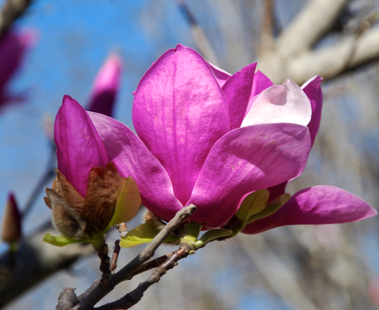 Screen Shot 2017-02-11 at 9.30.43 PM.png