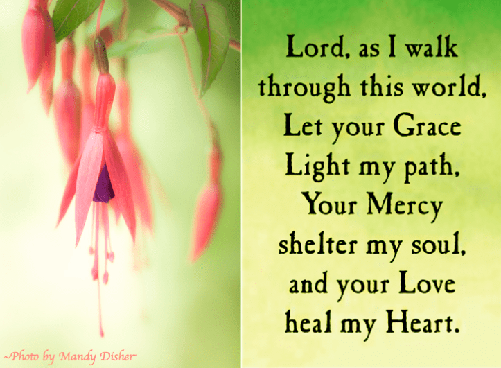 Screen Shot 2017-02-12 at 3.01.50 PM.png