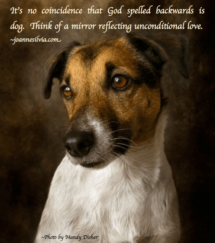 Screen Shot 2017-02-12 at 3.12.57 PM.png